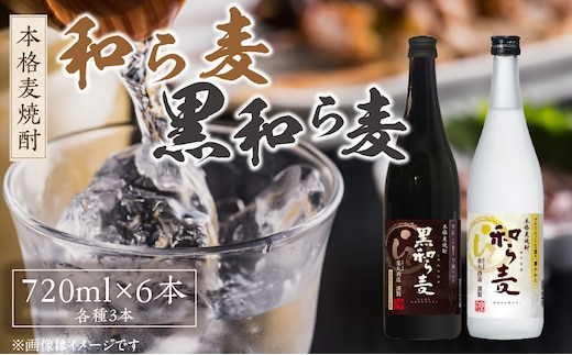 楽丸酒造 和ら麦・黒和ら麦6本セット