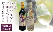 【バリはやッ！ZIPにて紹介されました】田主丸町巨峰ワインとブルーベリーワインのセット_田主丸町巨峰ワインとブルーベリーワインのセット_Ew012