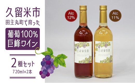 【バリはやッ！ZIPにて紹介されました】久留米市田主丸町で育った葡萄100％ 巨峰ワイン2種セット（720ml×2本）