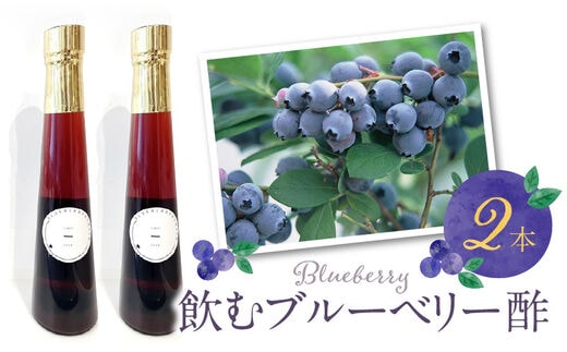 飲むブルーベリー酢 2本