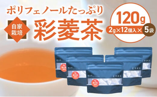 農薬不使用自家栽培 ポリフェノールたっぷり 彩菱茶 120g（2g×12袋入り）×5袋セット