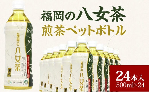 福岡の八女茶煎茶ペットボトル500ml×24本