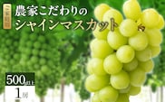 【2026年8月より順次発送】シャインマスカット（1房：500g以上)_Fg012