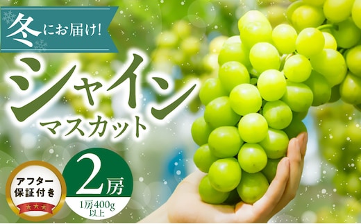 【2025年11月よりお届け】冬にお届け！シャインマスカット×2房_Fg011
