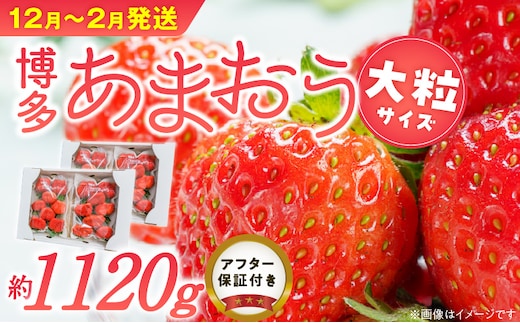 福岡県産あまおういちご 約280g以上×4パック（大粒）【12月～2月発送】 _Fi054-01