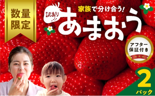 【数量限定】【訳あり】ファミリー向け あまおう約270g×2パック_Fi068