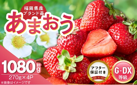 【2026年3月下旬より順次発送】あまおう苺（270g×4P） _Fi082