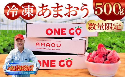 【数量限定】福岡県産あまおう（冷凍500g）特別栽培 _Fi203-01