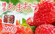 福岡県産あまおういちご　約280g以上×2パック（大粒）【12月〜2月発送】_Fi054