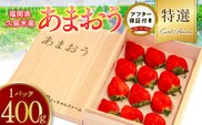 特選あまおう　約400g　12月から発送