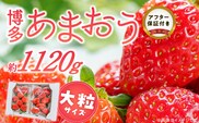 福岡県産あまおういちご　約280g以上×4パック（大粒）【3月～4月発送】 _Fi077-02