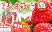福岡県産あまおういちご　280g～300g×4パック（中粒）【3月～4月発送】 _Fi077-03