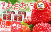 福岡県産あまおういちご　280g～300g×8パック（中粒）【3月～4月発送】 _Fi077-04