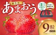 贈答用有機あまおうギフト9粒（約360g） _Fi079