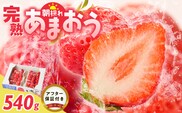 増永農園　福岡県産あまおう　270g×2パック _Fi080-02