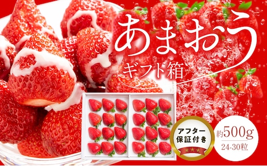 あまおうギフト箱（24-30粒）
