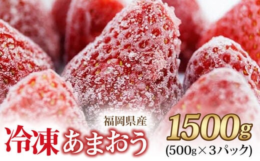 福岡県産 冷凍あまおう 摘みたて 1,500g(500g×3パック)_Fi036