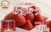 うるう農園のあまおうDX等級 2パック（570g）_Fi007