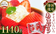 うるう農園のあまおうサイズ色々 4パック（1140g）_Fi009