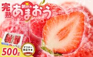 【2027年1月より順次発送】増永農園　福岡県産あまおう　250g×2パック_Fi080-02