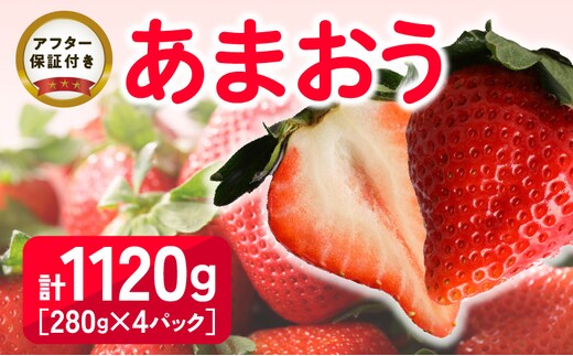 福岡県産 あまおう 1120g(280g×4パック) 2026年2月より順次発送_Fi034