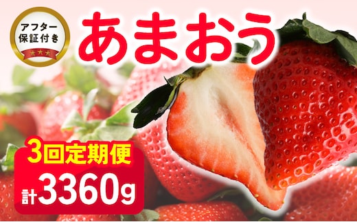 【いちごの定期便】福岡県産 あまおう 合計3,360g (2月・3月・4月の3回 1,120g(280g×4パック))_Fi035