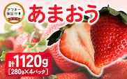福岡県産 あまおう 1120g(280g×4パック) 2026年2月より順次発送_Fi034