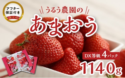 【2026年11月より順次発送】うるう農園のあまおうDX等級 4パック（1140g）_Fi008