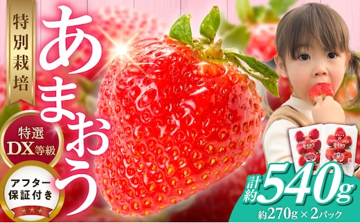 福岡県産【特別栽培】特選DX等級完熟あまおう 270g×2パック