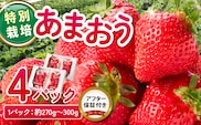 【2026年11月から順次発送】特別栽培あまおう 4パック ふくおかエコ農産物_Fi003