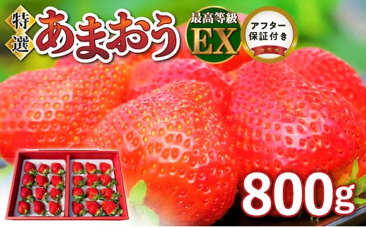 特選あまおう 800g_Fi005