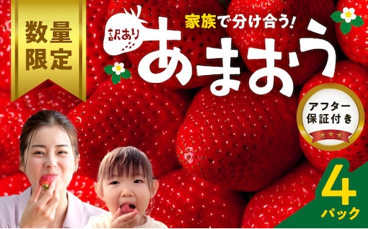 【数量限定】【訳あり】ファミリー向け あまおう約270g×4パック_Fi072