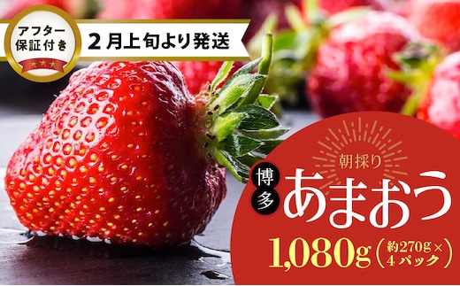 【2月上旬より順次発送】農家直送 朝採り新鮮いちご【博多あまおう】約270g×4パック_Fi053