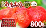 特選あまおう 800g_Fi005