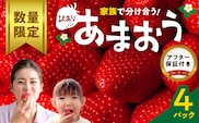 【数量限定】【訳あり】ファミリー向け あまおう約270g×4パック_Fi072