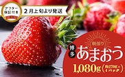 【2月上旬より順次発送】農家直送 朝採り新鮮いちご【博多あまおう】約270g×4パック_Fi053