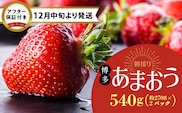 【12月中旬より順次発送】農家直送 朝採り新鮮いちご【博多あまおう】約270g×2パック_Fi061