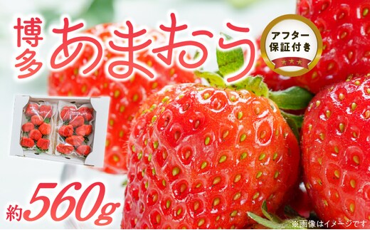 福岡県産あまおういちご 約280g以上×2パック（大粒）【12月〜2月発送】_Fi054