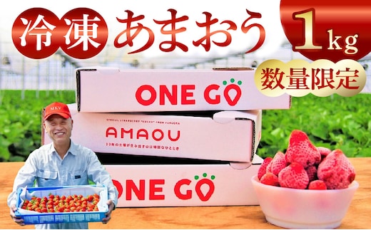 【数量限定】福岡県産あまおう（冷凍1kg）特別栽培