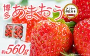 福岡県産あまおういちご　約280g以上×2パック（大粒）【12月〜2月発送】_Fi054