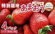 特別栽培あまおう 4パック ふくおかエコ農産物_Fi003