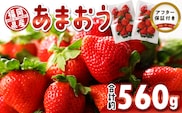 福岡県産　あまおう　約560g（約280g×2パック）_Fi049