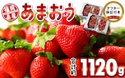 福岡県産　あまおう　約1120g（約280g×4パック）_Fi050