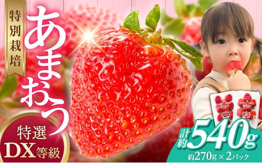 福岡県産【特別栽培】特選DX等級完熟あまおう 270g×2パック_Fi057