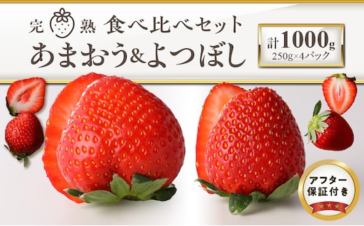 池田農園の完熟あまおう＆完熟よつぼし食べ比べセット