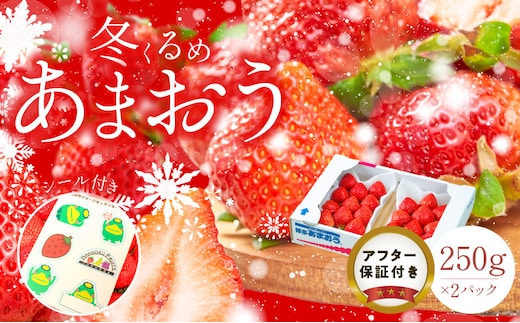 福岡産【冬】あまおう2パック