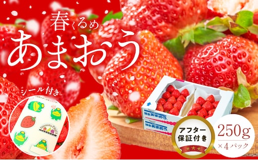 福岡産【春】あまおう4パック