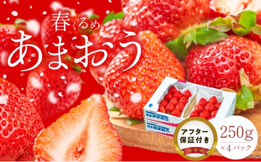 【2027年2月以降お届け】福岡産［春］あまおう4パック_Fi012
