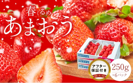 【2027年2月以降お届け】福岡産［春］あまおう6パック_Fi013