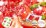 福岡産【冬】あまおう2パック